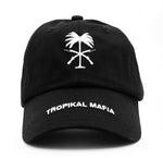 TM DAD HAT
