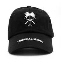 TM DAD HAT